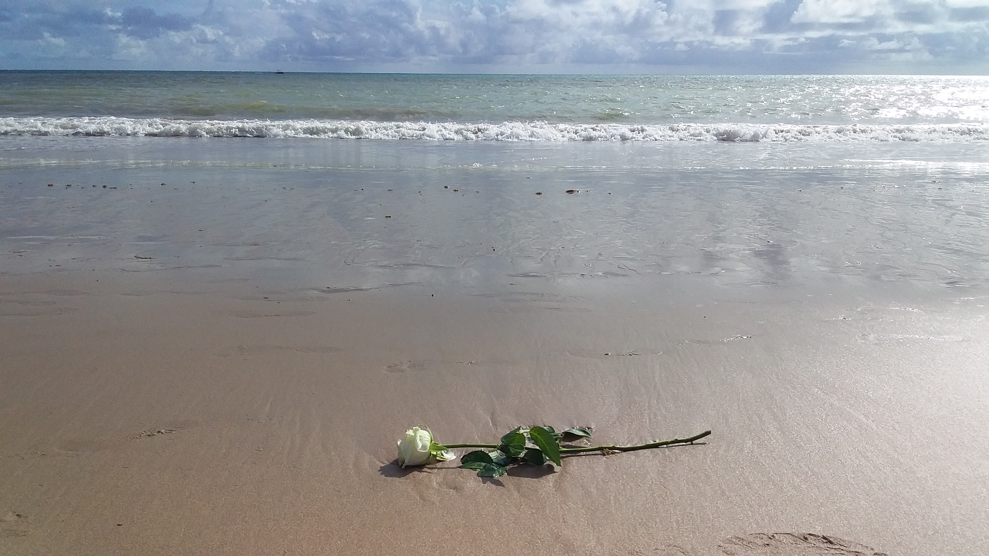 Descrição: este registro fotográfico foi realizado na manhã do dia 08 de dezembro de 2019. Na fotografia, vemos uma rosa branca, oferenda para Iemanjá, na areia da Praia do Cabo Branco em João Pessoa-PB, ao fundo vemos o mar com tons verde e azul escuro.